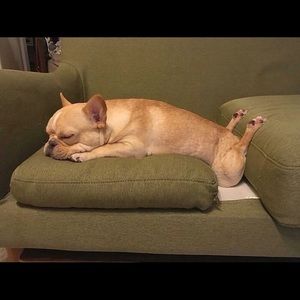 Meet your Posher, Jose a